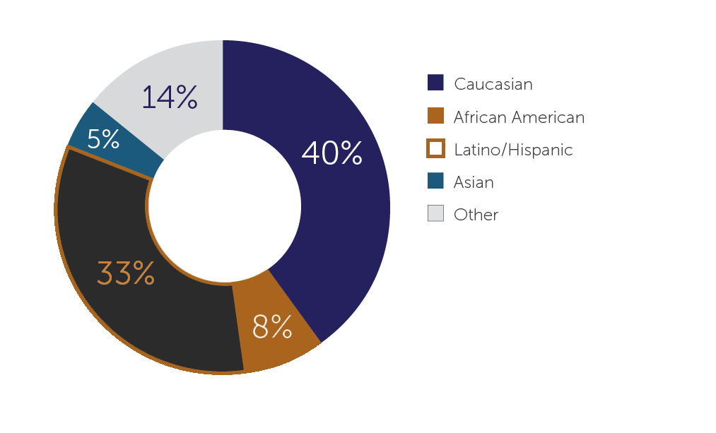 Colleges of Law | Diverse Student Body Statistics Caucasian-40%,African American-8%,Latino/Hispanic-33%,Asian-5%,Other-14%